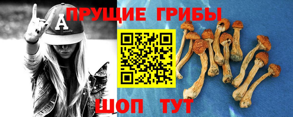 Оренбург  Галлюциногенные грибы прущие грибы  Вход с VPN  Псилоцибиновые грибы мухоморы 